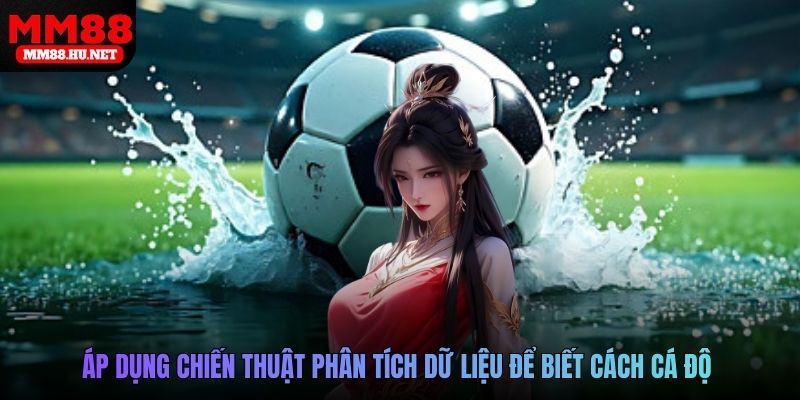 Áp dụng chiến thuật phân tích dữ liệu để biết cách cá độ bóng đá không thua
