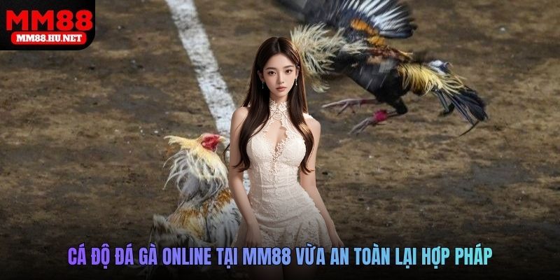 Cá độ đá gà online tại MM88 vừa an toàn lại hợp pháp