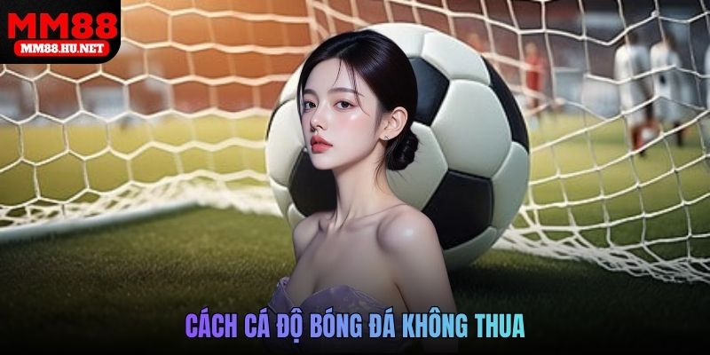 Cách cá độ bóng đá không thua