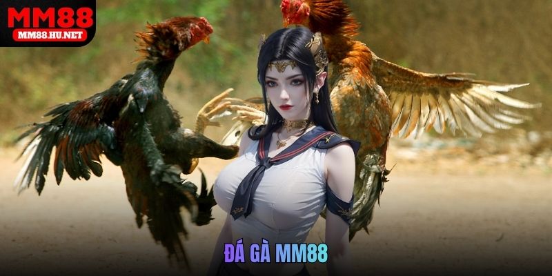 đá gà MM88