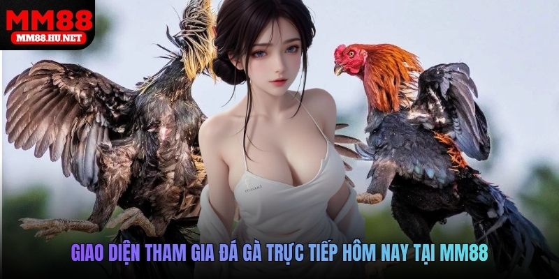 Giao diện tham gia đá gà trực tiếp hôm nay tại MM88