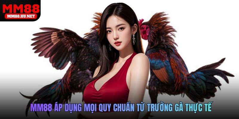 MM88 áp dụng mọi quy chuẩn từ trường gà thực tế