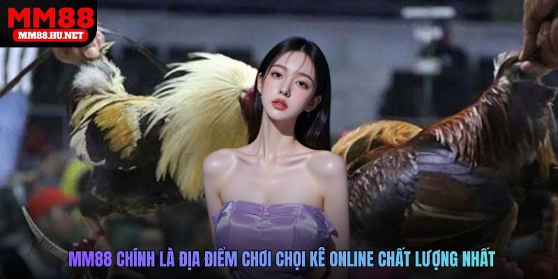 MM88 chính là địa điểm chơi chọi kê online chất lượng nhất