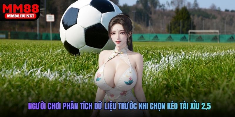 Người chơi phân tích dữ liệu trước khi chọn kèo tài xỉu 2,5