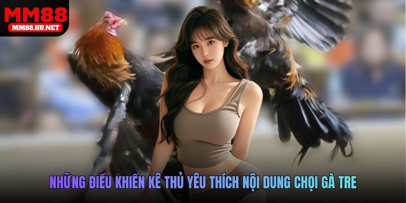 Những điều khiến kê thủ yêu thích nội dung chọi gà tre
