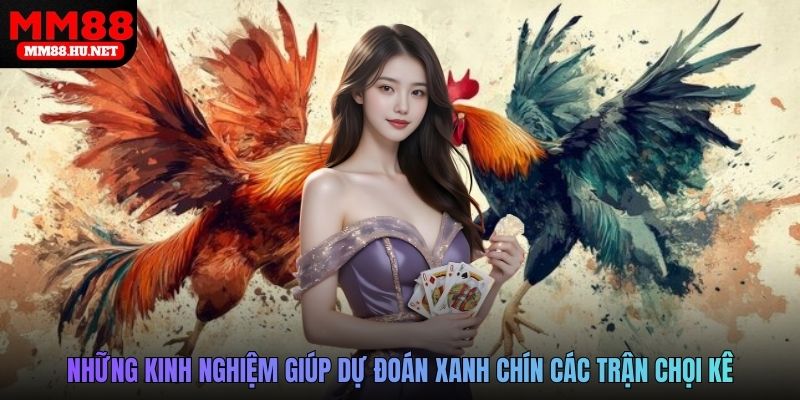 Những kinh nghiệm giúp dự đoán xanh chín các trận chọi kê