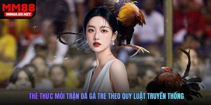 Thể thức mỗi trận đá gà tre theo quy luật truyền thống