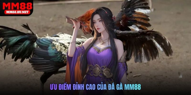 Ưu điểm đỉnh cao của đá gà MM88